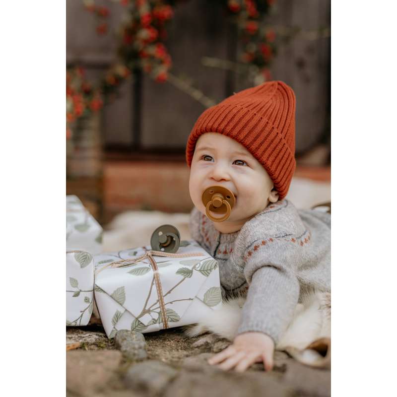 Bibs Round Colour Pacifier - Multi-pack - 8 pcs. - sz. 2 - Green and Terracotta  - Image 2