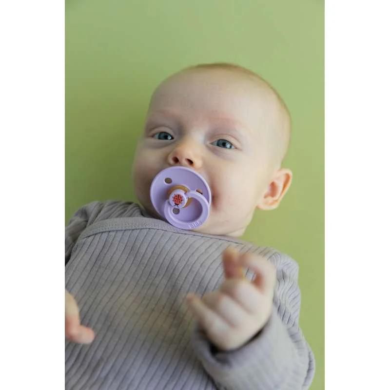 BIBS Rund Colour Sut - Str. 2 - Naturgummi - Studio - Ladybug - Violet Sky - Image 2