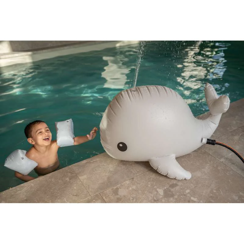 Filibabba Sprinkler - The Whale Christian - Image 7