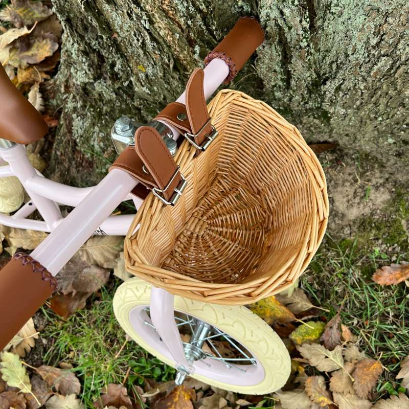 {{3c27b2b2dea475fd0b559f564e86d6e25}} Onion bike with bicycle basket - Pale Rose  - Image 12