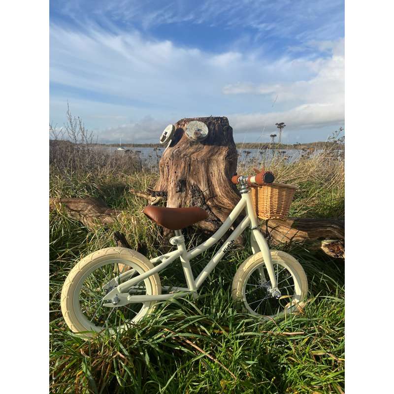 {{3c27b2b2bdea475fd0b559f564e86d6e25}} Onion bike with bicycle basket - Sage Sand  - Image 4