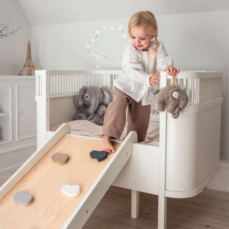 Sebra 2-in-1 Climbing and Slide  - Image 9
